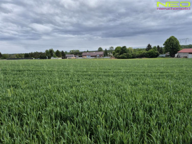 Działka budowlano-rolna sprzedam