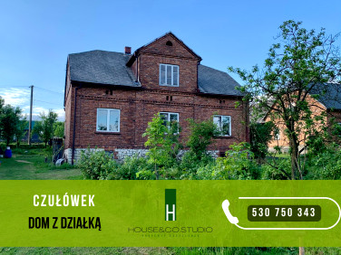 Dom Czułówek