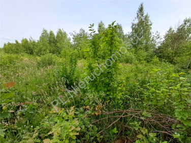 Działka budowlana Budy-Grzybek sprzedam