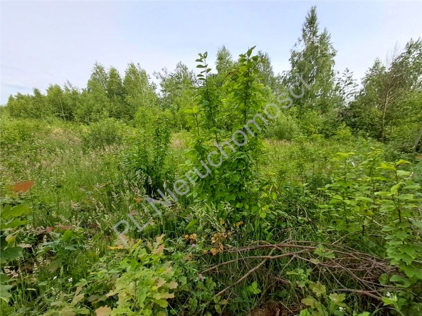 Działka budowlana Budy-Grzybek sprzedam