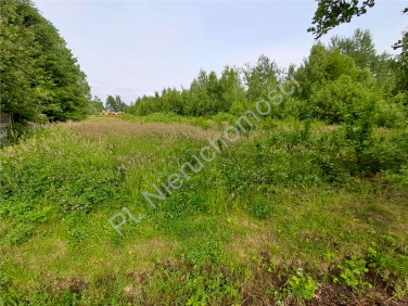 Działka Budy-Grzybek