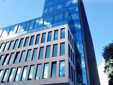 Lokal Warszawa