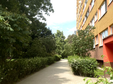 Mieszkanie Wrocław