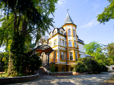 Lokal Wrocław