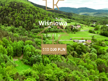Działka Wiśniowa