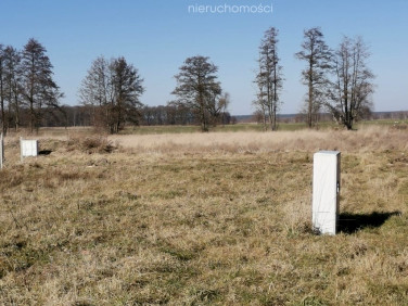 Działka Niedźwiedzice