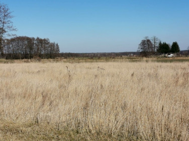 Działka budowlana Niedźwiedzice