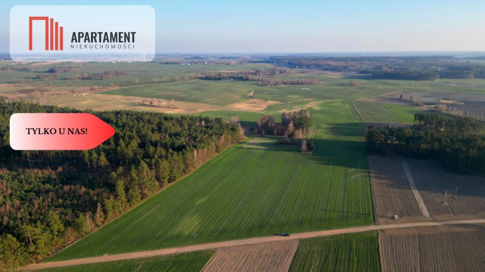 Działka siedliskowa Koźmin