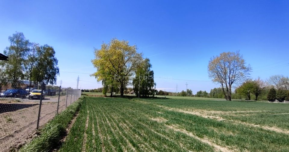 Działka Gogołowa
