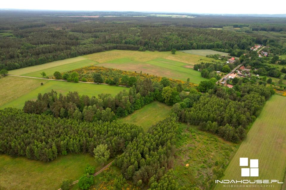 Działka siedliskowa Powidz