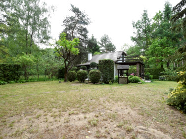 Zabudowana działka Cieksyn