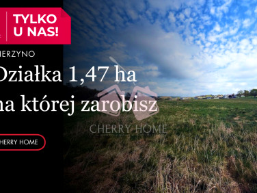 Działka inna sprzedam