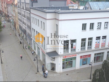 Lokal Legnica