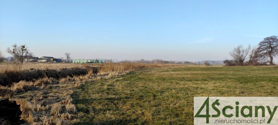 Działka budowlano-rolna Cholewy