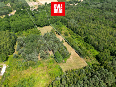 Działka siedliskowa Ruda Godowska