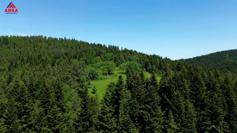 Zalesiona działka Łętowe
