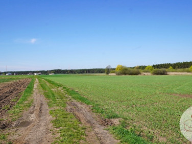 Działka budowlana Młodzikówko sprzedam