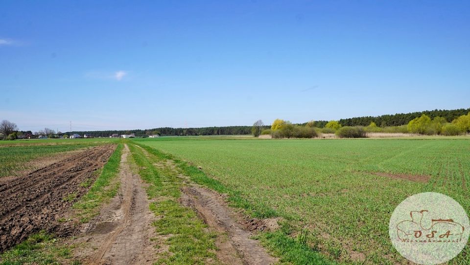 Działka budowlana Młodzikówko sprzedam