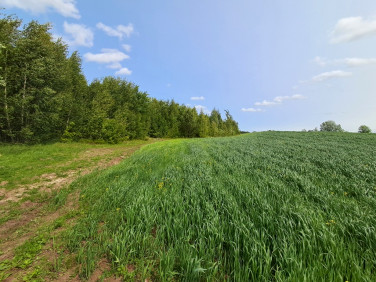 Działka budowlana Szklana