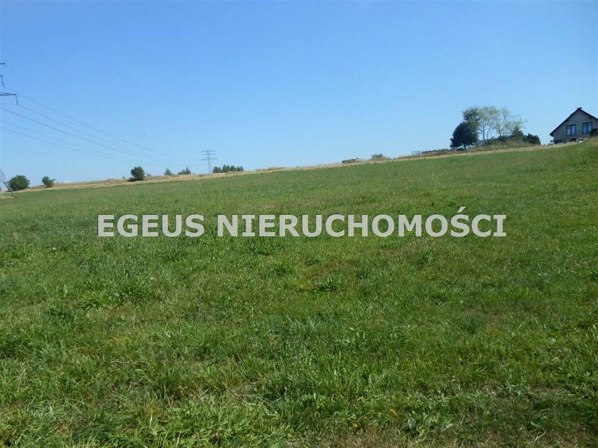 Zdjęcie 3
