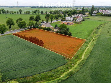 Działka rolna Kaczanowo