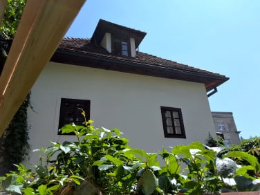 Lokal Kraków