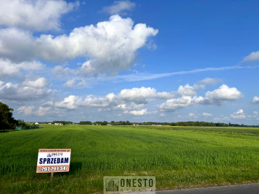 Działka Nasutów
