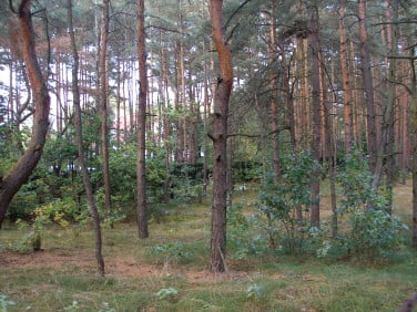 Działka inwestycyjna Otwock