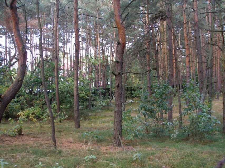Działka inwestycyjna Otwock