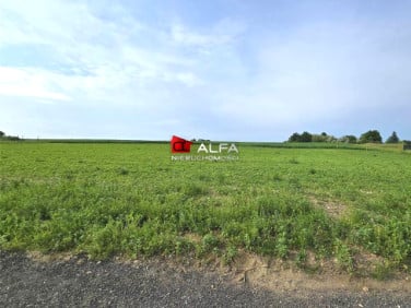 Działka budowlana Mrowiny