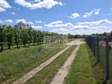 Działka budowlana Wyborów