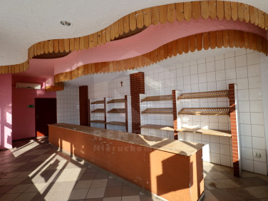 Lokal Opole