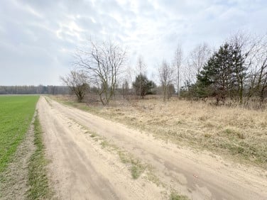 Działka przy lesie