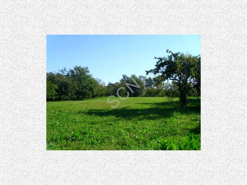 Działka rolna sprzedam
