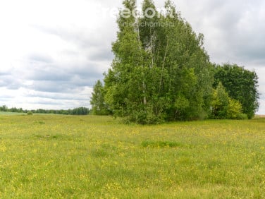 Działka rolna Aleksandrówka