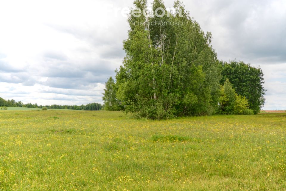 Działka rolna Aleksandrówka