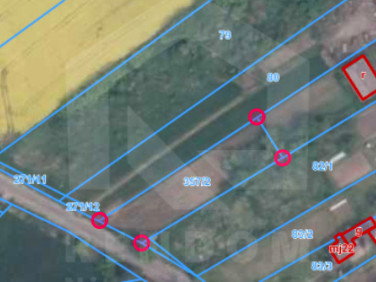 Działka Ciepielowice