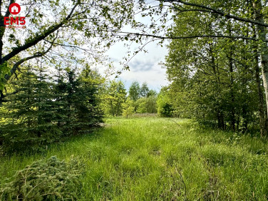 Działka Kosmaty Borek