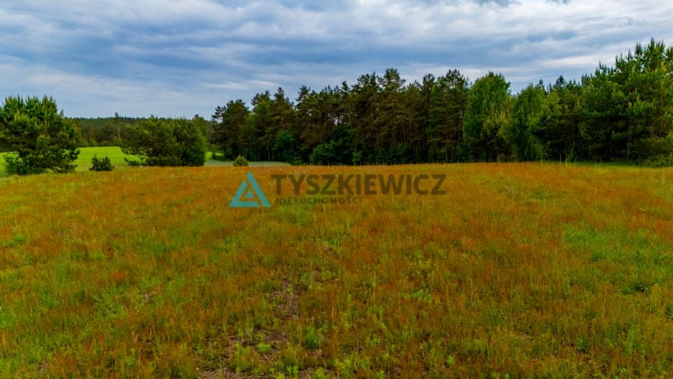 Zdjęcie 2