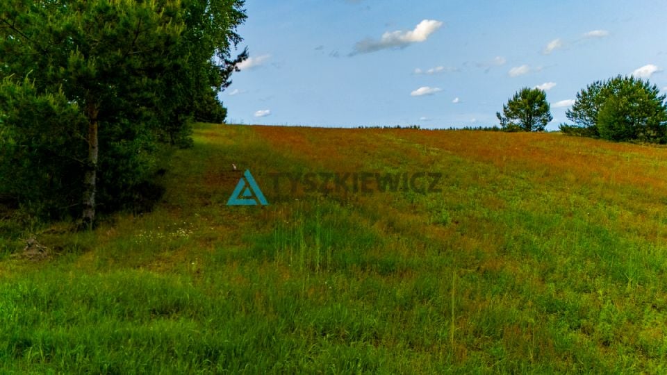 Zdjęcie 3