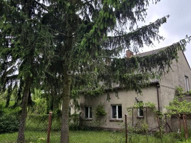 Budynek użytkowy Rogowo
