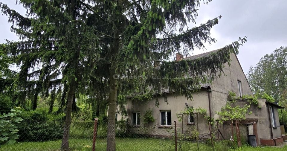 Budynek użytkowy Rogowo