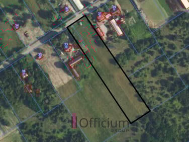 Działka usługowa Nowy Modlin