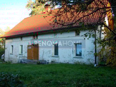 Dom Niedźwiedzica