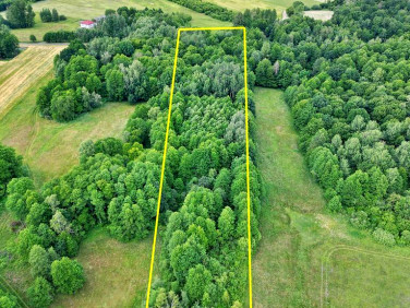 Działka rolna Świerszczów sprzedam