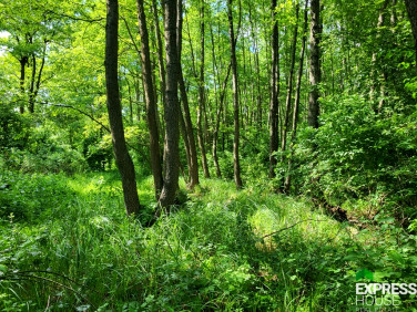 Działka Świerszczów