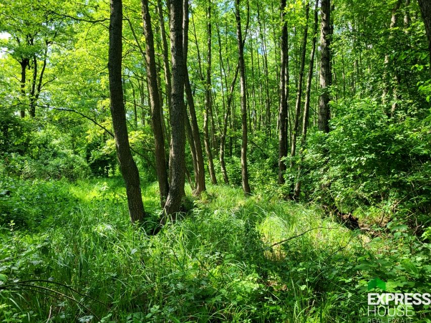 Działka Świerszczów