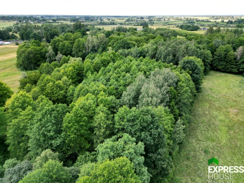 Działka Świerszczów