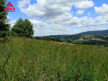 Działka Limanowa