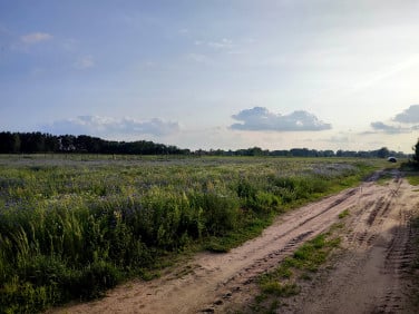 Działka budowlana Adelin
